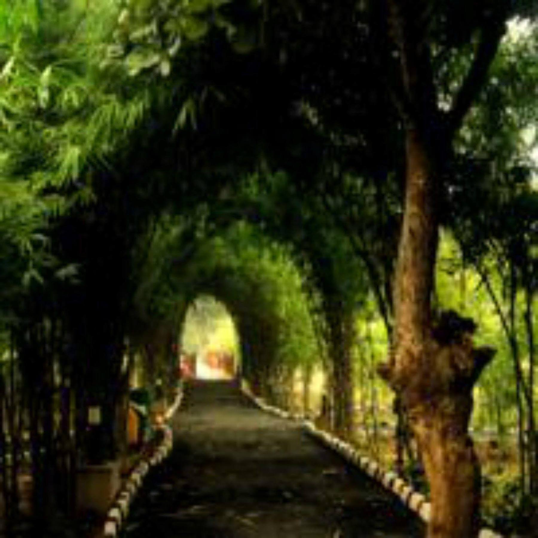 Lemon Tree Wildlife Resort, Bandhavgarh Tala  Exterior photo